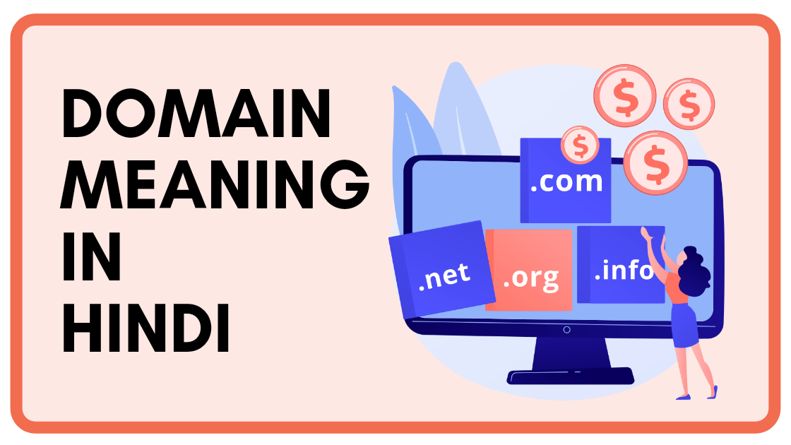 domain meaning in Hindi